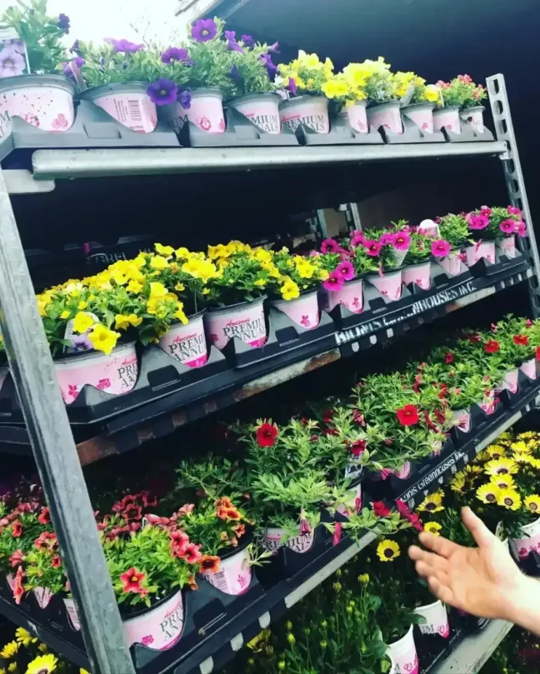Ridgeway Garden Center business photo