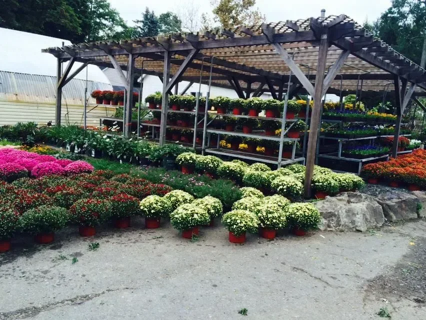Ridgeway Garden Center, business photo 3
